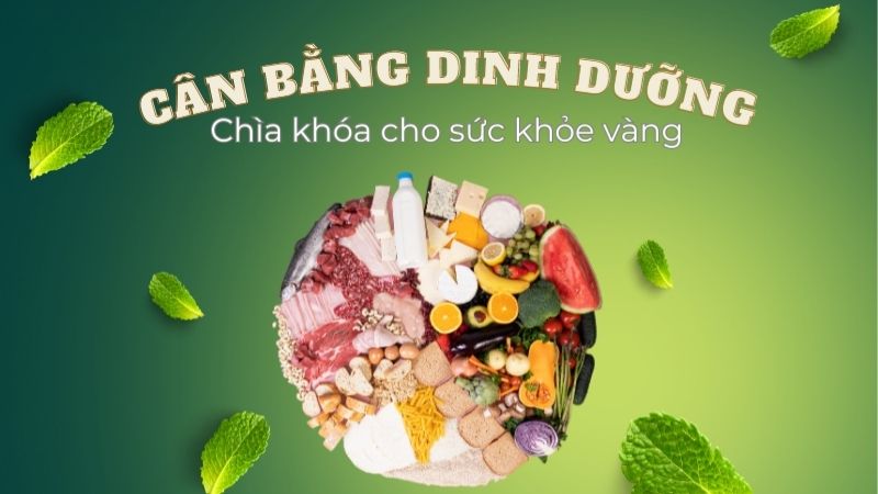 Trải nghiệm bữa ăn dinh dưỡng tại Mầm non Tú Sơn