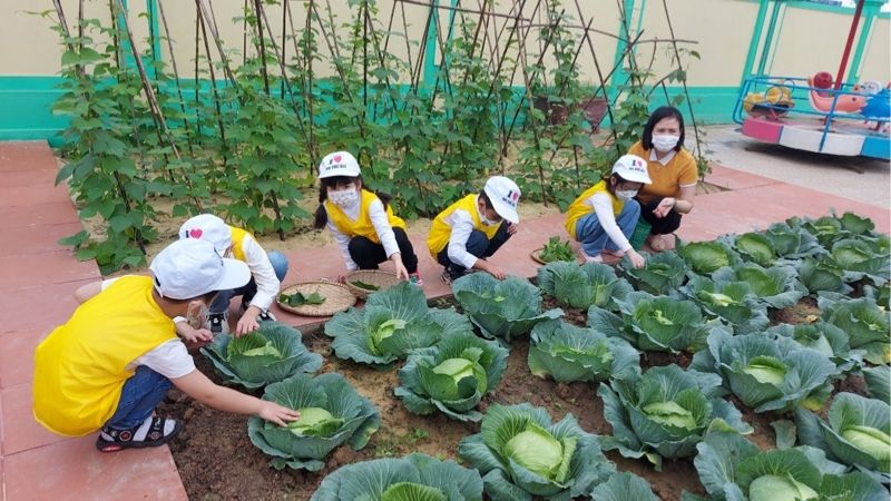 Trường Mầm non Tú Sơn khơi nguồn sáng tạo với dự án giáo dục STEM