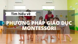 Giới thiệu phương pháp Montessori tại Trường mầm non Tú Sơn