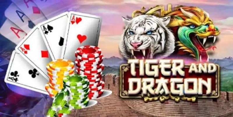 5 mẹo soi cầu Rồng Hổ Sunwin “dễ trúng hơn” cho newbie
