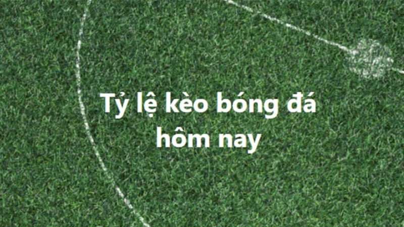 Soi Kèo Nhà Cái
